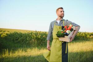 Wooden box filled fresh vegetables photo