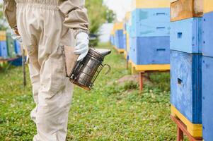 Beekeeper on apiary. Beekeeper is working with bees and beehives on the apiary. photo
