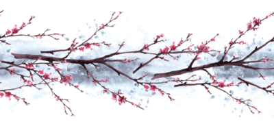 Aquarell Hand gezeichnet früh Frühling Blüten von Bäume, Sakura, Kirsche, Aprikose Blumen. nahtlos Muster, Rand auf Aquarell grau Spritzer. zuerst Knospen, Blätter. botanisch Clip Art isoliert Illustration png