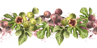 branche de juteux, mûr vert et violet figues avec feuilles sur aquarelle éclaboussures Contexte sans couture frontière, modèle. nourriture clipart pour tissu, étiqueter, emballage textile. main tiré illustration isolé png