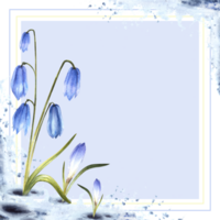 Watercolor painting spring primary flowers illustration Arrival of spring card template. Melting snow landscape blue scylla, crocuses, snowdrops plant sprouting through the snow Isolated background png