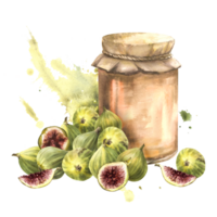 Watercolor fig jam in a glass jar, fresh whole and cut figs and slice on watercolor splashes background. Hand drawn illustration fruit Jelly and marmalade or drink label, sticker, logo print. Isolated png