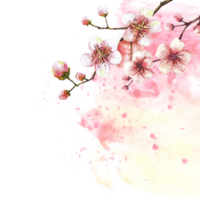 A blossoming branch from spring tree template illustration. Hand drawn blossoms sakura, cherry or apple buds and flowers on watercolor stain splashes background. Springtime card Isolated illustration png