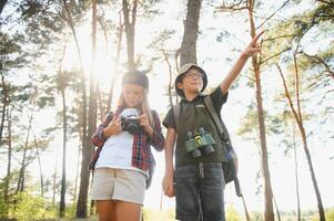 Group of curious happy school kids in casual clothes with backpacks exploring nature and forest together on sunny autumn day. photo