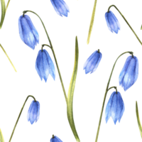 tidigt vår växt sömlös mönster, squills, vår scilla blå snödroppar primär blommor hand dragen illustration för bröllop deco, födelsedagar, påsk omslag, scrapbooking bakgrund png