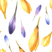 Watercolor early spring primary flowers Blue, yellow crocuses, saffron seamless pattern. Hand drawn illustration Ester wedding birthday wrapping, scrapbooking fabric. clipart background png
