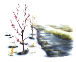 Watercolor landscape Primary plants flowers, blossoming spring trees of cherry, sakura or apricot, stream, the first grass breaking through the snow. Hand painted  clipart background png