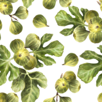 branche de juteux, mûr vert figues avec feuilles et entier fruit nourriture, plante sans couture modèle. clipart pour emballage, fond d'écran, textile, en tissu aquarelle peint illustration. Contexte png