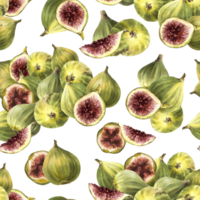 une pile de mûr juteux vert violet figues, choisi entier fruit sans couture modèle nourriture plante clipart pour en tissu étiquette fond d'écran emballage textile main tiré aquarelle illustration Contexte png