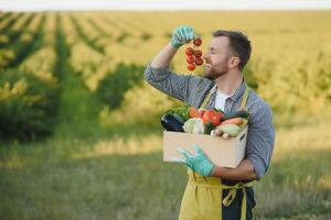 farmer holding a crate of bio vegetables in the farm. Happy man showing box of harvested vegetables. photo