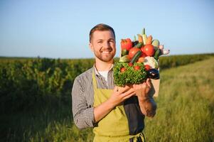 A male farmer with a box of fresh vegetables walks along her field. Healthy Eating and Fresh Vegetables photo