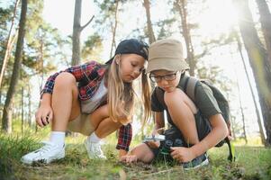 Two happy children having fun during forest hike on beautiful day in pine forest. Cute boy scout with binoculars during hiking in summer forest. Concepts of adventure, scouting and hiking tourism photo