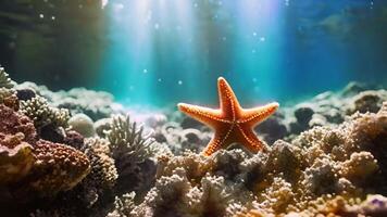 ai generado un estrella de mar graciosamente se mueve a través de un vibrante coral arrecife, exhibiendo submarino vida, de cerca submarino imágenes de estrella de mar y otro fondo marino habitantes, ai generado video