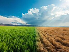ai generado planeta torneado a sequía campos, concepto ilustrando clima cambio afecta agricultura y tierra foto