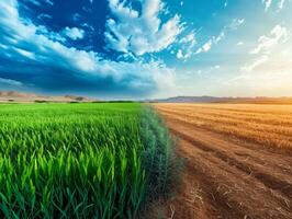 ai generado planeta torneado a sequía campos, concepto ilustrando clima cambio afecta agricultura y tierra foto