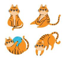 Cat poses collection, cute pet sitting or lie vector