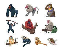 Monkeys collection. Cartoon ape characters in different poses, species and breeds of monkeyshines, cute tropical primates zoo or wildlife concept. Vector set.