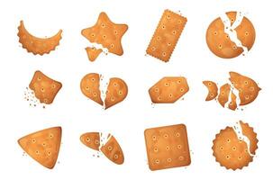 Cracker crumbs set. Broken cookies biscuit cracker snack food, cartoon broken crackers different shapes and sizes. Vector isolated collection