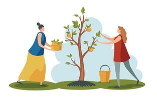 People working at garden. Women collecting apples from tree in garden. Worker characters holding baskets and buckets vector