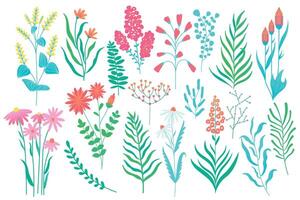 dibujos animados flores y hojas. resumen botánico floral elementos ramo, mano dibujado resumen floral elementos para fondo de pantalla diseño. vector aislado conjunto