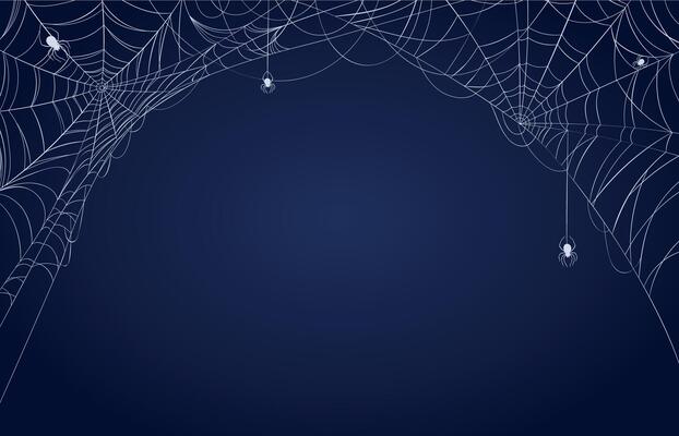 Spider web banner. Halloween spooky decorated background with cobwebs in corners and hanging spiders. Scary spiderweb frame vector pattern