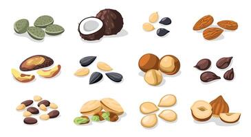 Nuts and seeds. Healthy snack food, colorful roasted nuts and dried seeds, healthy vegetarian food, nut and seed nutrition concept. Vector set