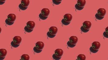 Pattern with many tomatos animated on red background. Tomatos move in different directions. 4K video