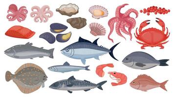Fresh raw ocean and sea fish, tuna, salmon and herring. Cartoon seafood, shrimp, mussels, scallops, oysters and caviar, shellfish vector set
