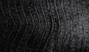 black crocodile texture with raindrops photo