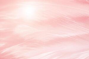 Beautiful soft pink color trends feather pattern texture background with orange light photo