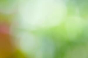 Abstract background green bokeh Beautiful colors Suitable for making a background image. Graphic design photo