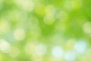 Beautiful green bokeh of tree leaves nature out of focus background photo