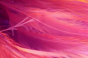 Violet scarlet color trends bird feather texture pattern background photo