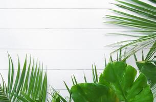 Frame made of tropical leaves on wooden background photo