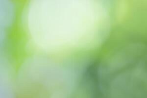 Abstract background green bokeh Beautiful colors Suitable for making a background image. Graphic design photo