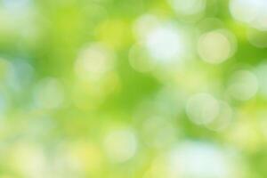 Beautiful green bokeh of tree leaves nature out of focus background photo