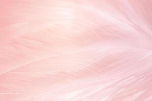 Beautiful soft pink color trends feather pattern texture background with orange light photo