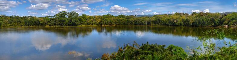 Landscape of the Amazon jungle, in Lago Sandoval, Tambopata, Peru photo