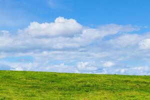 verde césped antecedentes demostración un horizonte de cumulous mullido nubes con un azul cielo en un agrícola pasto campo, valores foto imagen con Copiar espacio