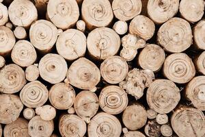 Surface of rough brown wooden log texture background photo