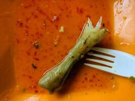 Dirty plate with remaining chicken legs and fork on the plate. photo