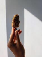 Woman holding against white background a fruit of magnolia photo