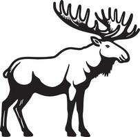 Moose Elk Sketch Drawing. vector