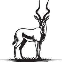 Antelope Sketching Drawing. vector