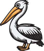 Pelican Sketch Illustration. vector