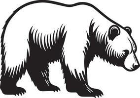 Bear Sketch Drawing. vector