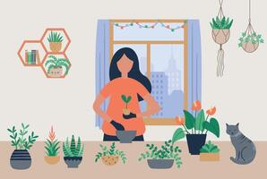 Woman grow homemade plants. Female character caring for potted herb and flowers. Girl putting seedling into pot vector