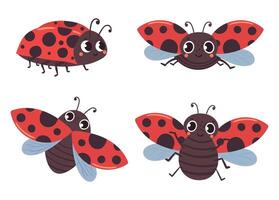Cartoon ladybug insects with red black wings vector