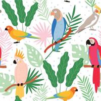 vistoso dibujos animados exótico loros y tropical hojas sin costura modelo. cacatúa, guacamayo, Colombia paraíso pájaro. plano salvaje loro vector impresión