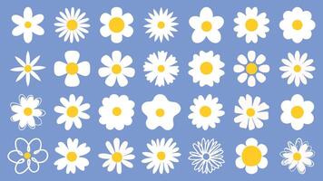 Cartoon daisy logo designs, chamomile flower icons. Flat spring floral elements. Blossom flowers with white petals. Doodle daisy vector set